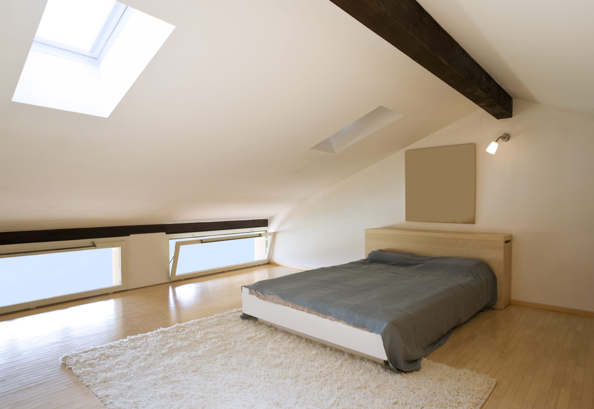 loft & house extensions